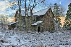 Old_Homestead