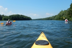 Paddling the Susquehanna