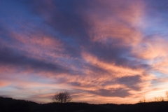 Sunset In The Sky