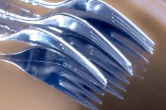 Forks