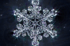 Frozen Fragility-3