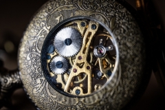 skeleton watch 2
