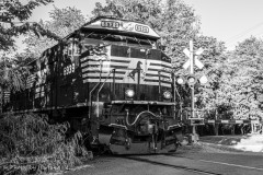 Locomotion