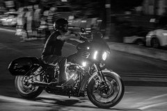 Night Hawk