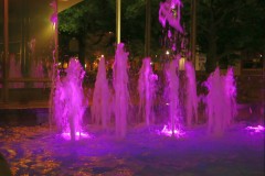Water Waltz