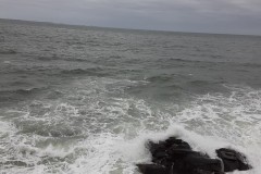 Waves
