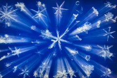 Snowflakes