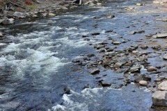 Water Current in a Stream
