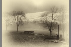 In the Mist - Vintage
