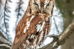 Annoyed!!-7082
