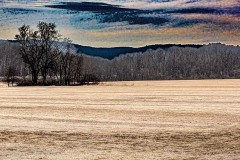 The Fields Beyond