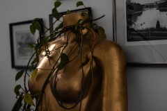 Living-and-Inanimate
