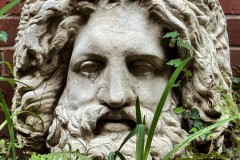 The Watcher