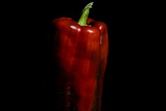 The Hot Pepper