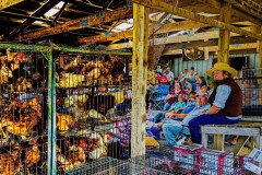 Auction Day