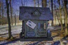 Bird House 1
