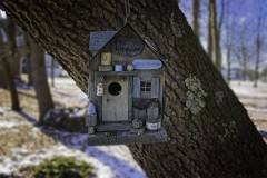Bird House 2