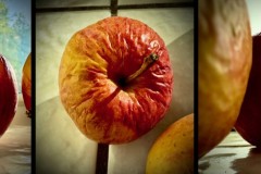 Wrinkled Apple