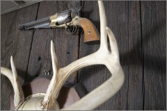 Between the Tines