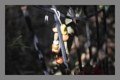 Forest Beads