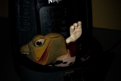 My New Friend NINJA