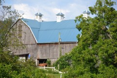 Blue Dresses Up The Barn