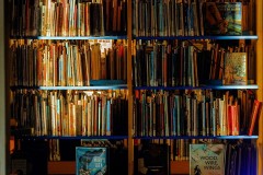 Books on Shade
