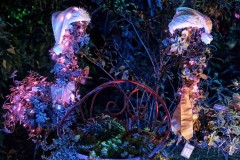 Botanical