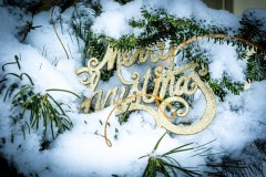 Merry Christmas