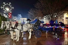 Carriage Ride