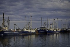 Ships Ahoy