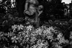 echoes of the past