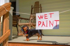 Wet Paint