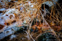 Ice Flow
