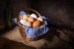 Morning-on-the-Farm