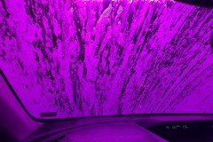 Car Wash Soap