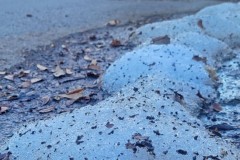 Melting Snow